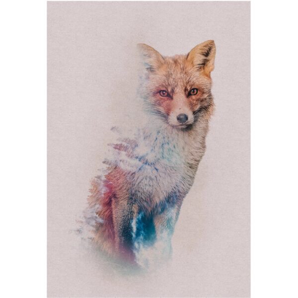 Komar Wandbild Animals Fox 50 x 70 cm