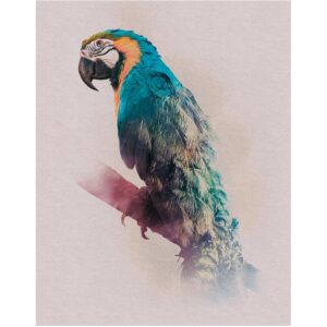 Komar Wandbild Animals Parrot 40 x 50 cm