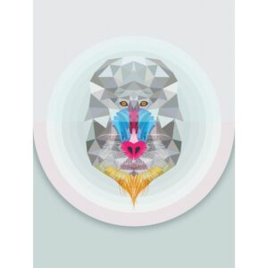 Komar Wandbild Baboon 30 x 40 cm