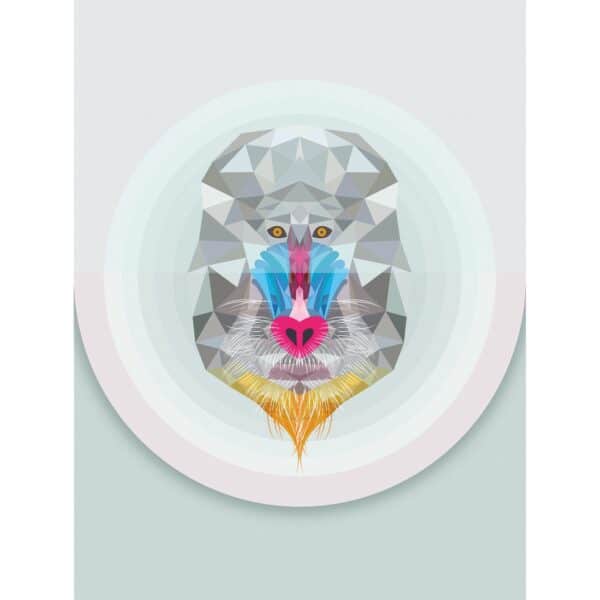 Komar Wandbild Baboon 30 x 40 cm
