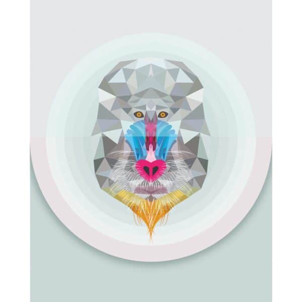 Komar Wandbild Baboon 40 x 50 cm