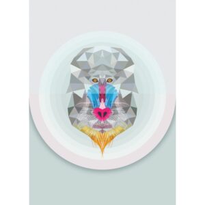Komar Wandbild Baboon 50 x 70 cm