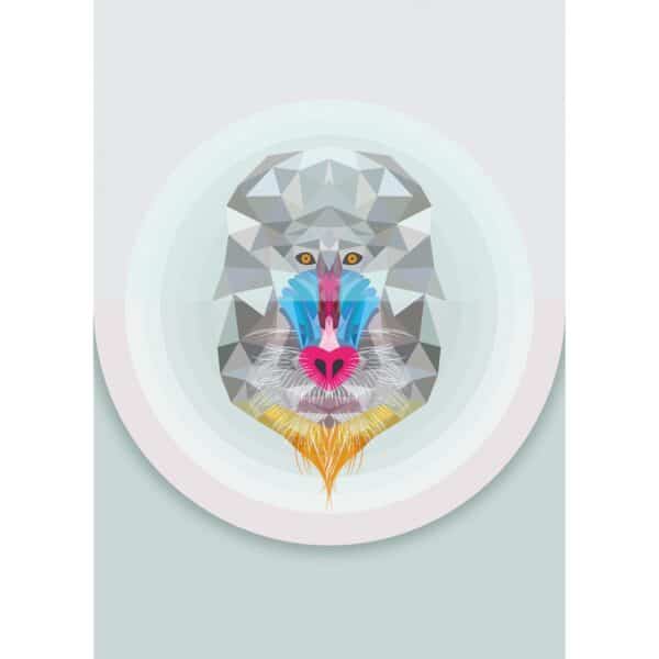 Komar Wandbild Baboon 50 x 70 cm