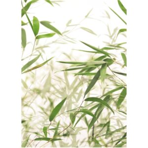Komar Wandbild Bamboo Leaves 30 x 40 cm