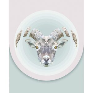 Komar Wandbild Capricorn 40 x 50 cm