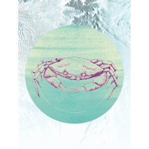 Komar Wandbild Crab Sea 30 x 40 cm