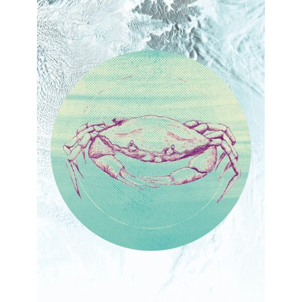 Komar Wandbild Crab Sea 30 x 40 cm
