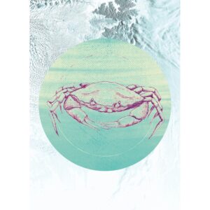 Komar Wandbild Crab Sea 50 x 70 cm