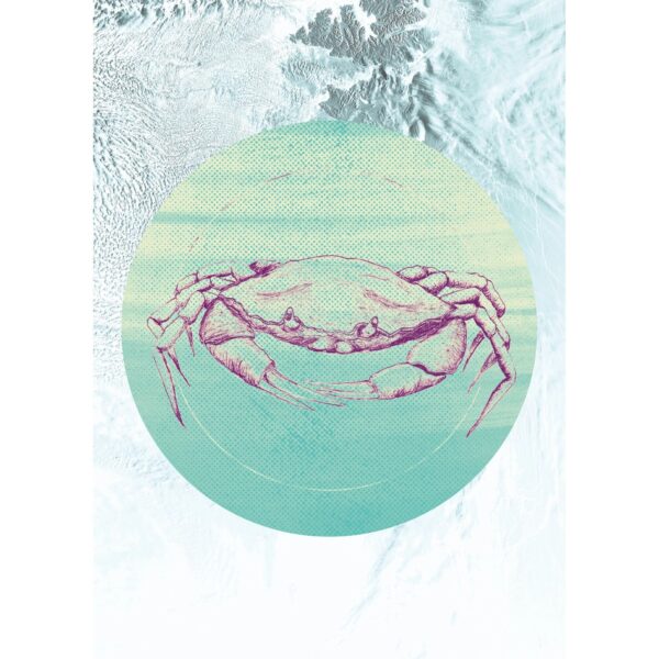 Komar Wandbild Crab Sea 50 x 70 cm