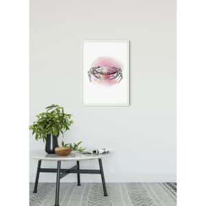 Komar Wandbild Crab Watercolor 50 x 70 cm