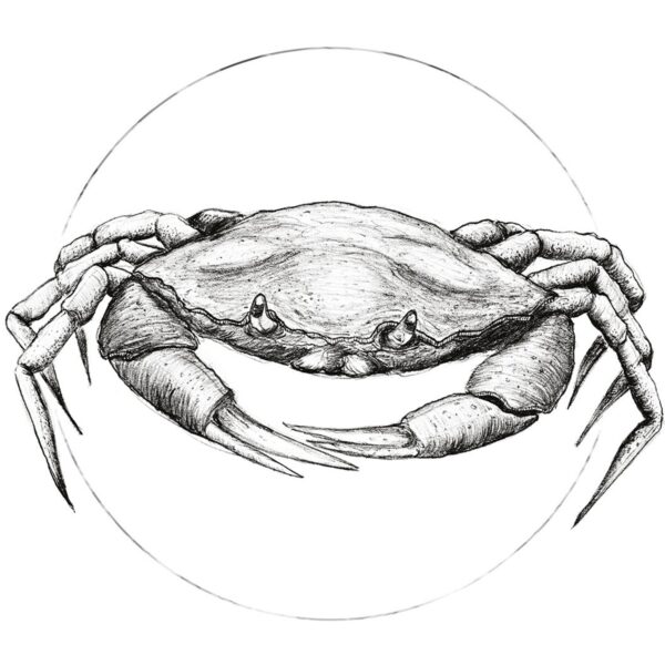 Komar Wandbild Crab White 30 x 40 cm