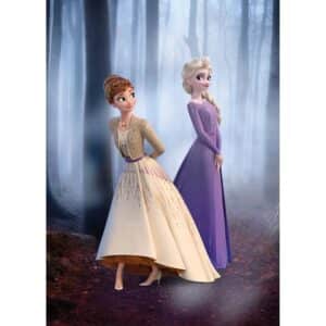 Komar Wandbild Frozen Wood Walk 50 x 70 cm