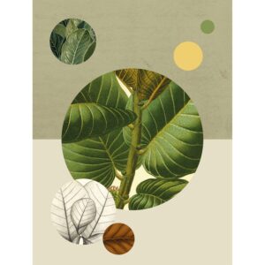 Komar Wandbild Green Structure 30 x 40 cm