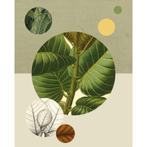 Komar Wandbild Green Structure 40 x 50 cm