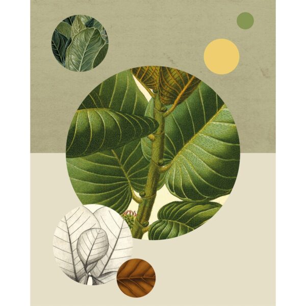 Komar Wandbild Green Structure 40 x 50 cm