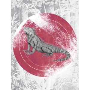 Komar Wandbild Iguana Circle 30 x 40 cm