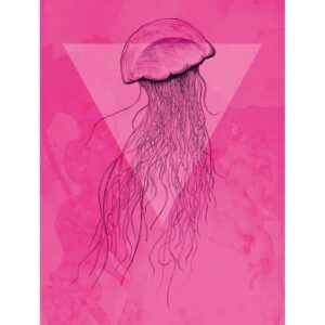 Komar Wandbild Jellyfish Pink 30 x 40 cm