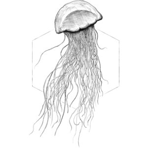 Komar Wandbild Jellyfish White 30 x 40 cm