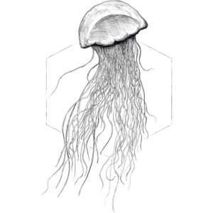 Komar Wandbild Jellyfish White 50 x 70 cm