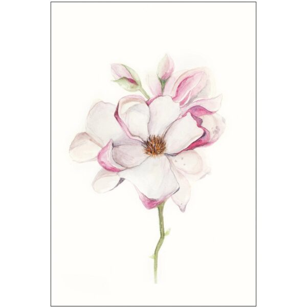 Komar Wandbild Magnolia Blossom 30 x 40 cm