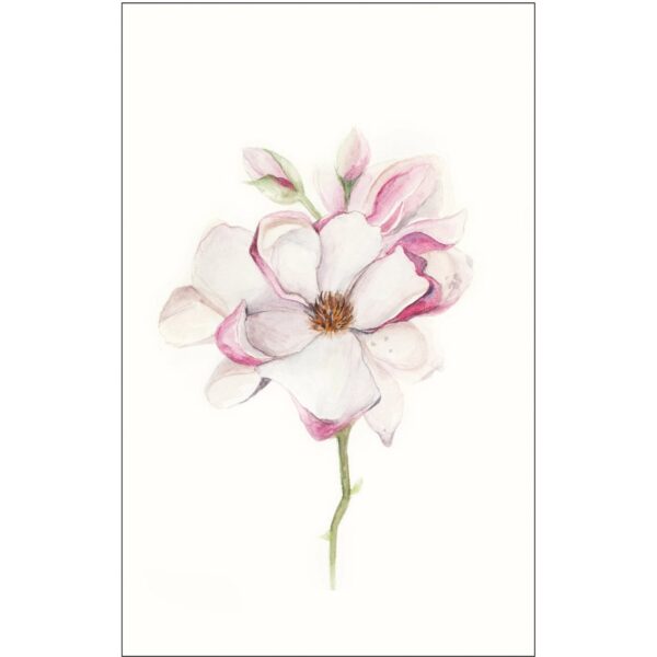 Komar Wandbild Magnolia Blossom 50 x 70 cm