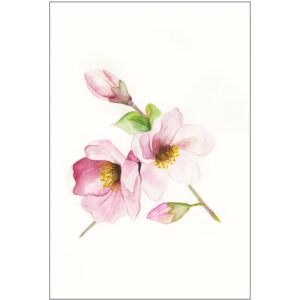 Komar Wandbild Magnolia Breathe 30 x 40 cm
