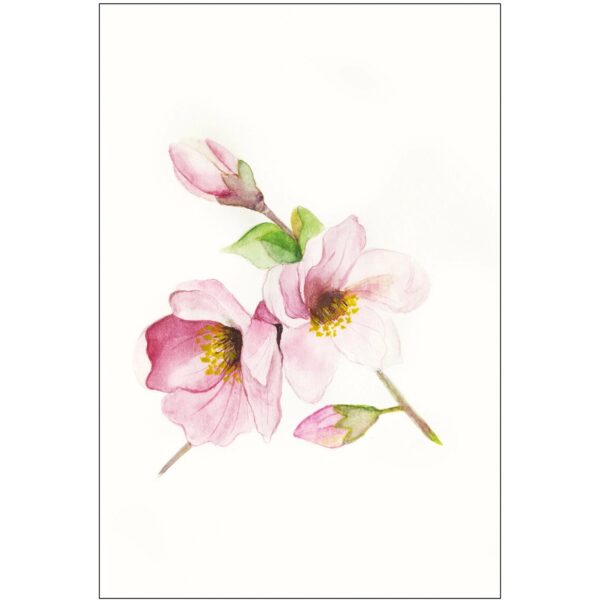 Komar Wandbild Magnolia Breathe 30 x 40 cm