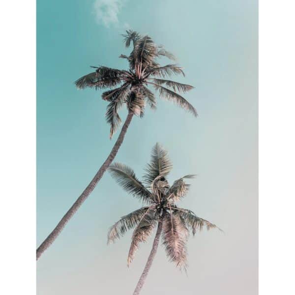Komar Wandbild Miami Palms 30 x 40 cm