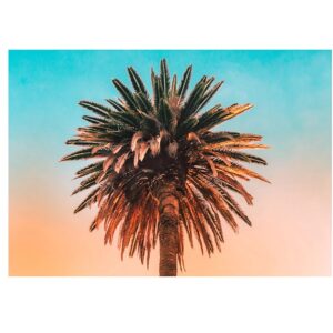 Komar Wandbild Palm Tree 70 x 50 cm