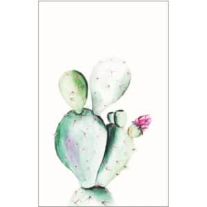 Komar Wandbild Prickly Pear 50 x 70 cm