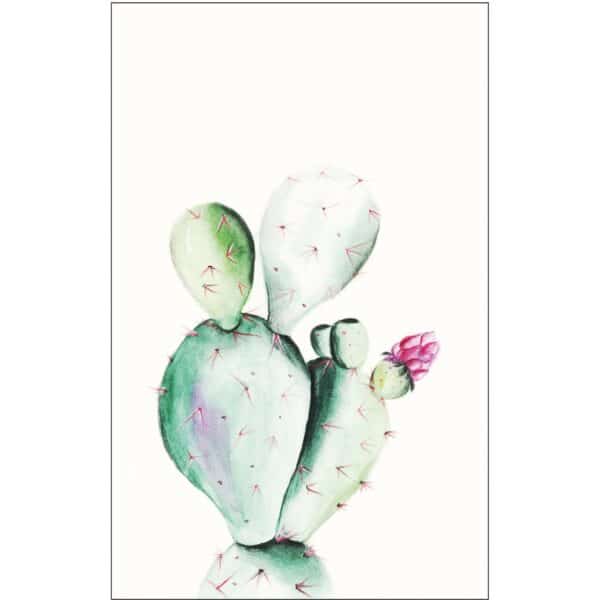 Komar Wandbild Prickly Pear 50 x 70 cm
