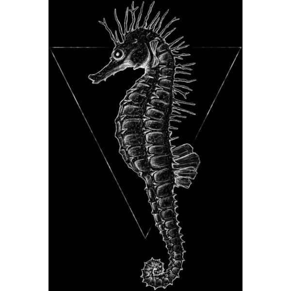 Komar Wandbild Sea Horse Black 30 x 40 cm