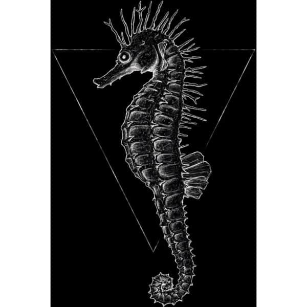 Komar Wandbild Sea Horse Black 50 x 70 cm