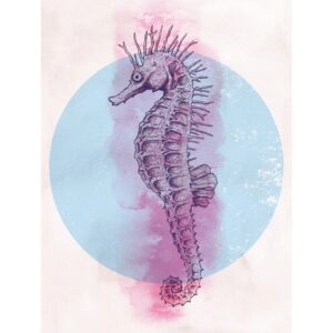 Komar Wandbild Sea Horse Circle 30 x 40 cm