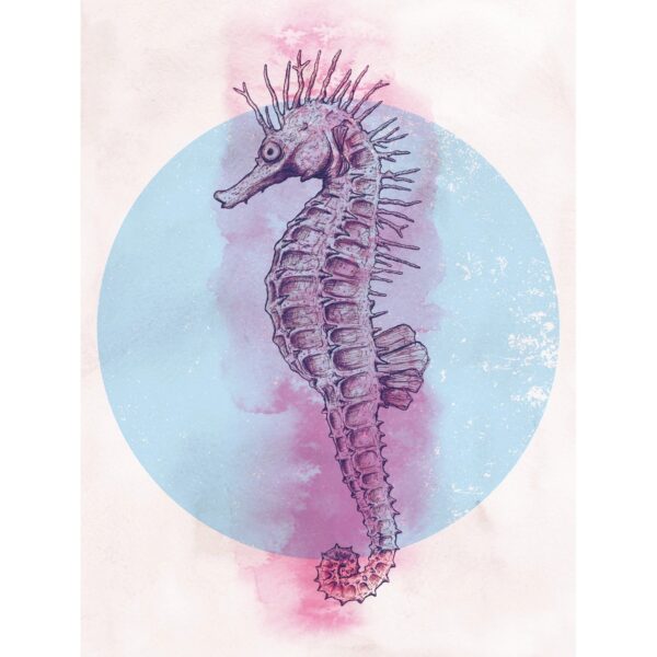 Komar Wandbild Sea Horse Circle 30 x 40 cm