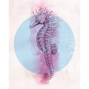 Komar Wandbild Sea Horse Circle 40 x 50 cm