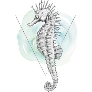 Komar Wandbild Sea Horse Watercolor 30 x 40 cm