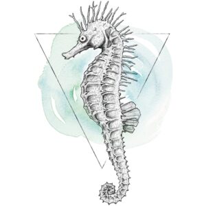 Komar Wandbild Sea Horse Watercolor 40 x 50 cm