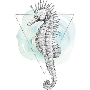 Komar Wandbild Sea Horse Watercolor 50 x 70 cm