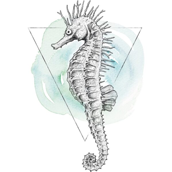 Komar Wandbild Sea Horse Watercolor 50 x 70 cm