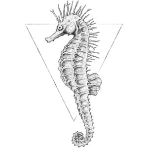 Komar Wandbild Sea Horse White 30 x 40 cm