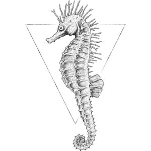 Komar Wandbild Sea Horse White 50 x 70 cm