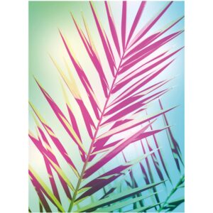 Komar Wandbild Shine 30 x 40 cm