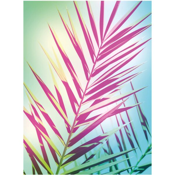 Komar Wandbild Shine 30 x 40 cm