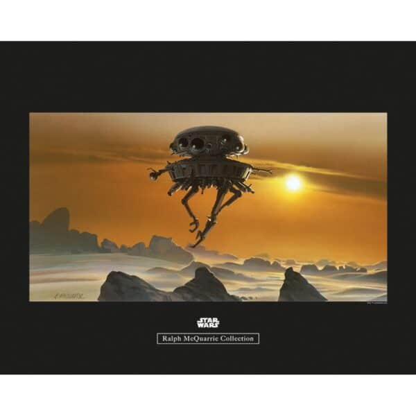Komar Wandbild Star Wars Droid 50 x 40 cm