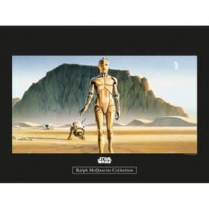 Komar Wandbild Star Wars Droids 40 x 30 cm