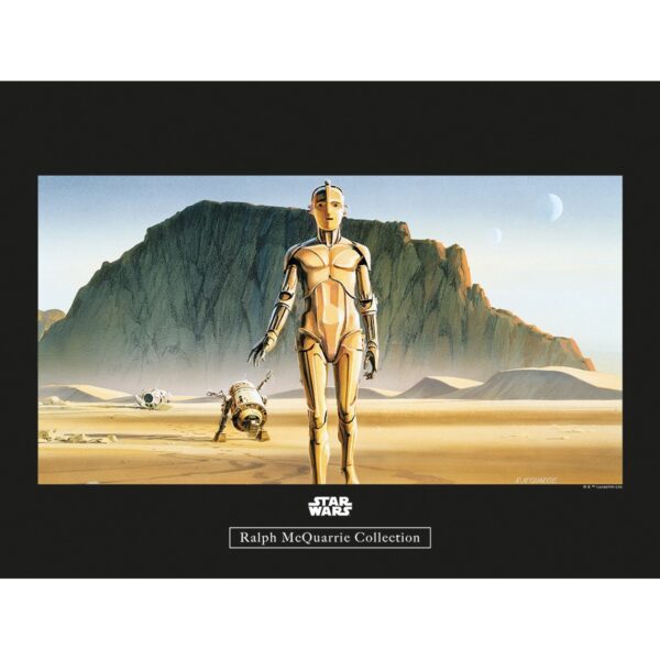 Komar Wandbild Star Wars Droids 40 x 30 cm