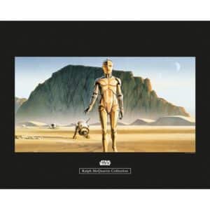 Komar Wandbild Star Wars Droids 50 x 40 cm