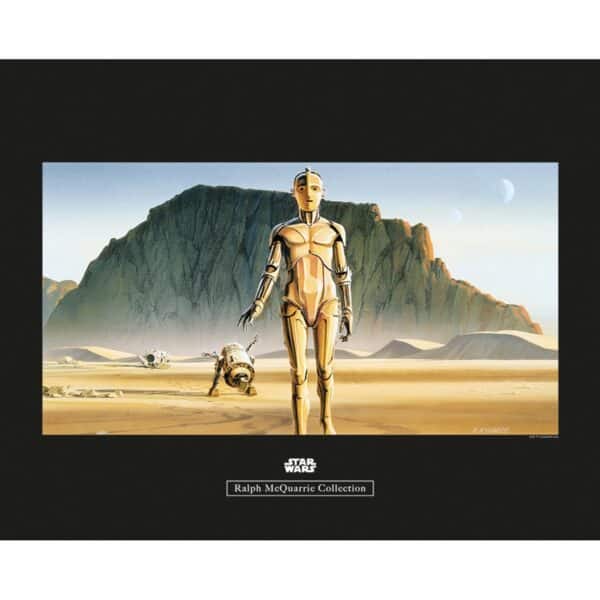 Komar Wandbild Star Wars Droids 50 x 40 cm