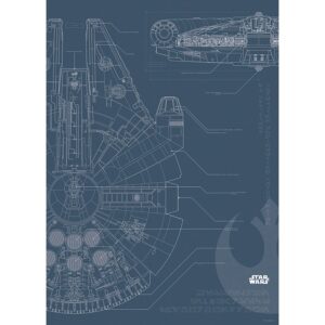 Komar Wandbild Star Wars Falcon 50 x 70 cm